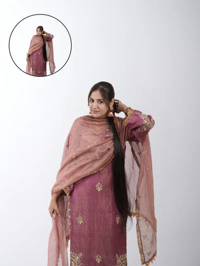 A stylish braided ponytail featuring intricate braids, enhanced with Hair Haux 100% human remy hair extensions for added volume and length